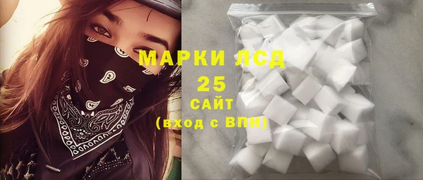 ПСИЛОЦИБИНОВЫЕ ГРИБЫ Медвежьегорск