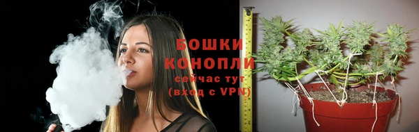ПСИЛОЦИБИНОВЫЕ ГРИБЫ Медвежьегорск