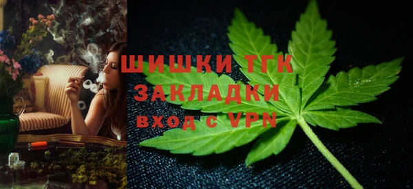 ПСИЛОЦИБИНОВЫЕ ГРИБЫ Медвежьегорск
