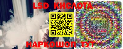 сатива Бузулук