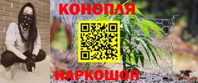 твердый Гатчина