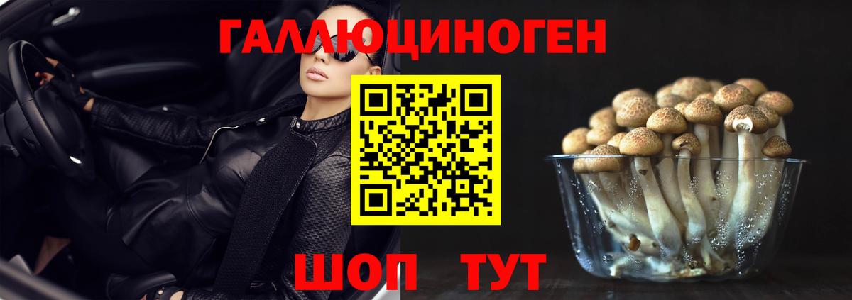 Галлюциногенные грибы Psilocybe  Карачаевск  Галлюциногенные грибы Psilocybine cubensis 