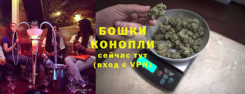 как найти наркотики  Карачаевск  Шишки марихуана LSD WEED 